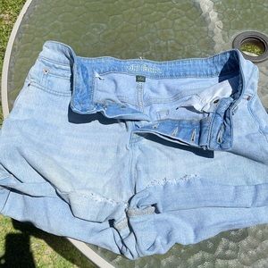 Wildfable shorts